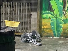 -西安秦岭野生动物园