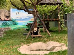 -上海野生动物园