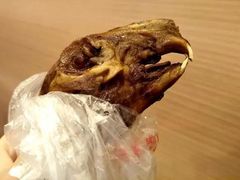 -邓氏兔头