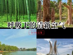 -石家庄市植物园