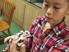 -藦茜花园宠物主题亲子互动体验馆(国顺东路店)