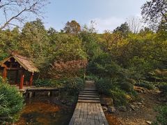 -杭州半山国家森林公园