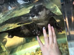 -波塞冬旅游度假区