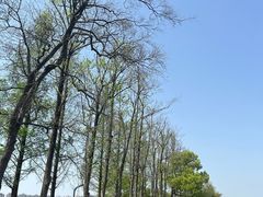 -洋湖国家湿地公园