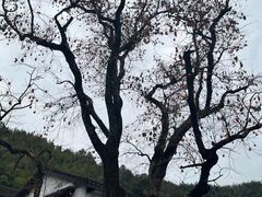 -丹山赤水风景名胜区