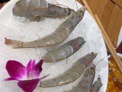 -黄家码头老火锅(解放碑旗舰店)