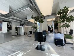 -Hair  Gallery