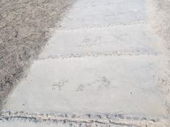 -彩色沙林风景区
