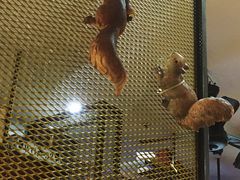 -沪公子·炭火蛙(303生活广场店)