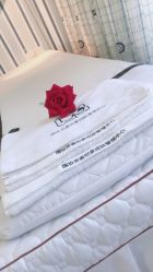 -SH芳香世家皮肤管理