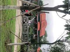 -大屏嶂森林公园