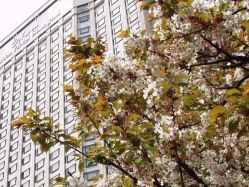 外景-花园饭店·宴会厅