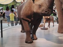 -陕西自然博物馆