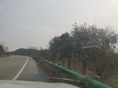 -素山寺森林公园