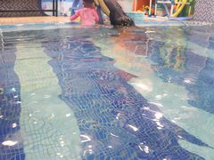 -水宝贝亲子游泳·水育早教运动中心(南海广场店)