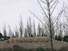 -永定河休闲森林公园