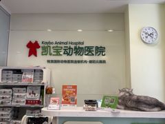 -悦宠凯宝动物医院·牙科·皮肤科(朝阳北路店)