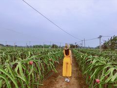 -硇洲岛旅游区