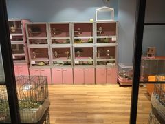 -藦茜花园宠物主题亲子互动体验馆(国顺东路店)