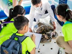 -瑞思教育·少儿英语(经开永旺校区)