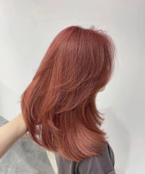 -IP SALON