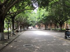 -广东外语外贸大学(白云山校区)