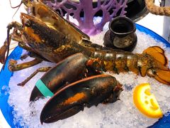 -半岛听涛蒸汽海鲜自助(K11店)