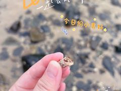 -长江澳风力发电景观区