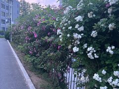-中国石油大学（北京）(北京西校区)