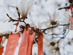-长春观