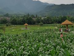 -太阳湾风景区