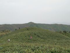 -径山寺