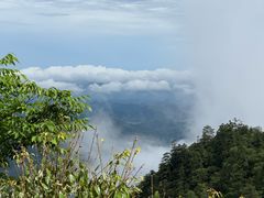 -天目山大树王景区