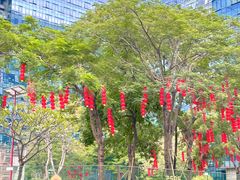 -科兴科学园