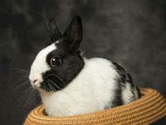 -莱仪堂艾灸经络养生馆(九亭一店)