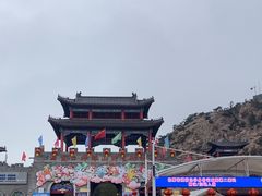 -西霞口神雕山野生动物世界