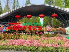 -东平国家森林公园