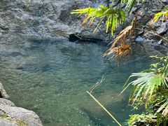 -宁波五龙潭景区