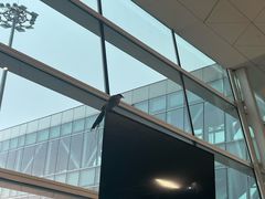 -周黑鸭(天河机场店)