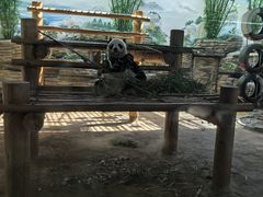 -西霞口神雕山野生动物世界