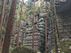 -梭布垭石林景区