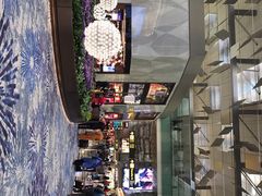 -樟宜机场免税店