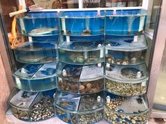 -海之味海鲜大咖·家常菜