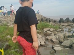 -南汇嘴观海公园