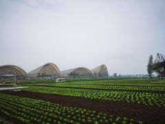 -中国天府农业博览园