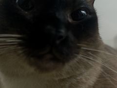 -美迦爱-牙专科·兔科·骨科诊疗中心(北苑店)