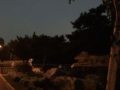 -长春公园(普阳街道)