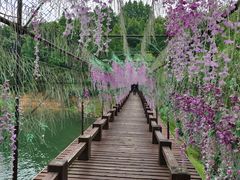 -酒仙湖景区