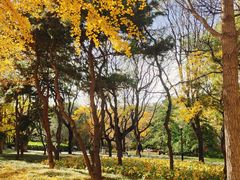 -玲珑塔公园