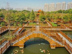 -五缘湾湿地公园